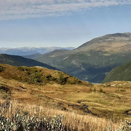 住宿加早餐酒店 Sognefjord Gjesteheim 旺斯内斯