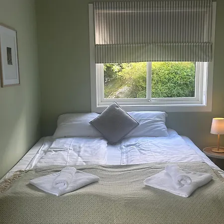 Sognefjord Gjesteheim 住宿加早餐酒店 旺斯内斯